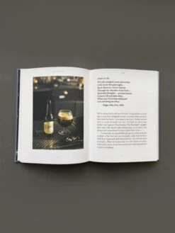 A Spot At The Bar 10 A Spot At The Bar -Household Items Discount book a spot at the bar michael madrusen zara young 3