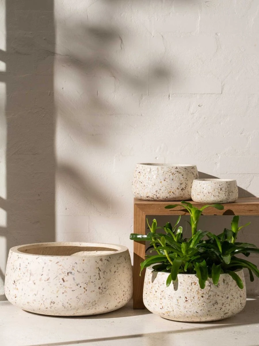 Shell Wide Planter - Small 4 Shell Wide Planter - Small - Image 2