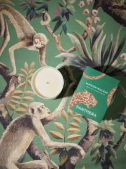 Panthera Scented Candle -Household Items Discount maison balzac catherine martin 5