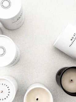 Fig Tree Scented Candle -Household Items Discount no27 fragrance house candles