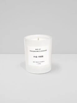 Fig Tree Scented Candle