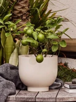 Yaamur Small Planter - Stone 15 Yaamur Small Planter - Stone -Household Items Discount saarde yaamur planter clay 3